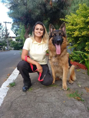 Adestramento Positivo / Eduque seu cãozinho 