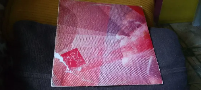 Lp vinil - caetano Veloso e banda nova  velo com encarte