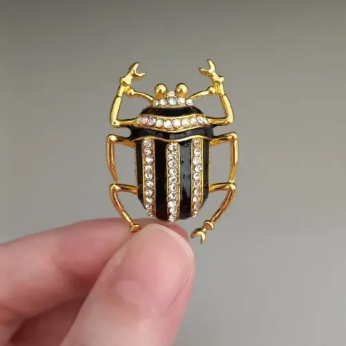 Broche de Besouro Listras (novo)