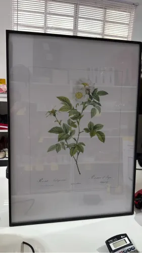 Quadro minimalista galho vidro borda madeira