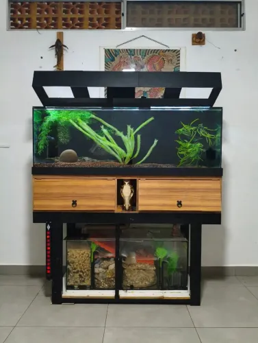 Aquário 375 L com sump