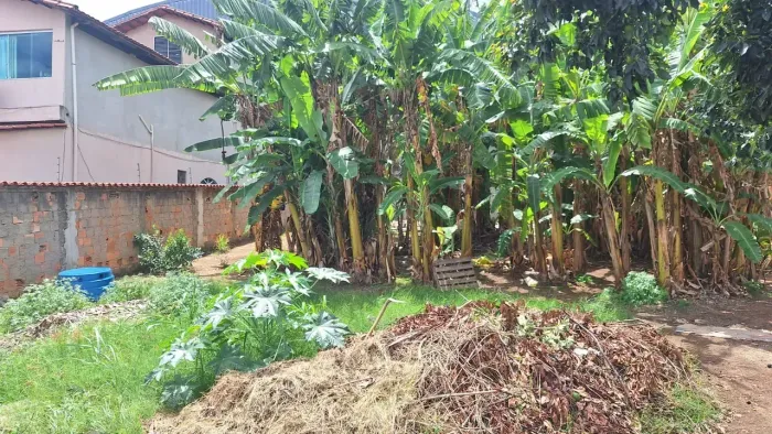 Lote 452 M2, Próximo a Via Expressa, Bem Localizado