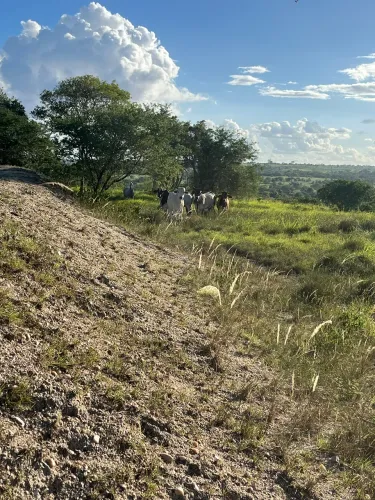 Terreno 23 tarefas Coração de Maria