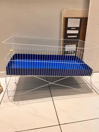 Berço para Porquinho da Índia 