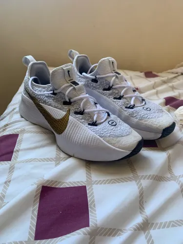 Tênis Nike Lebron TR1