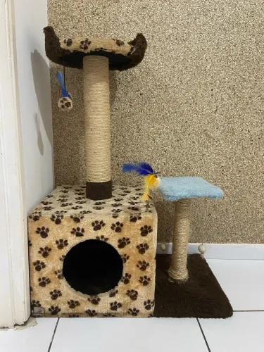 Casa arranhador para gatos