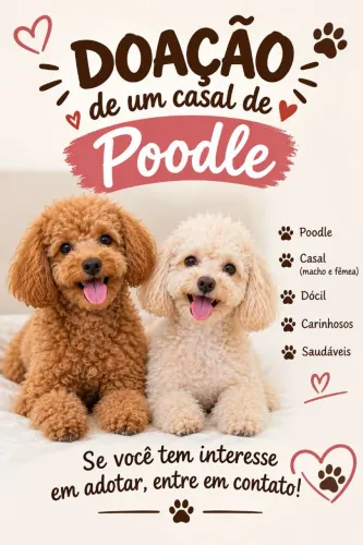 DOAÇÃO DE UM CASAL DE POODLE ?