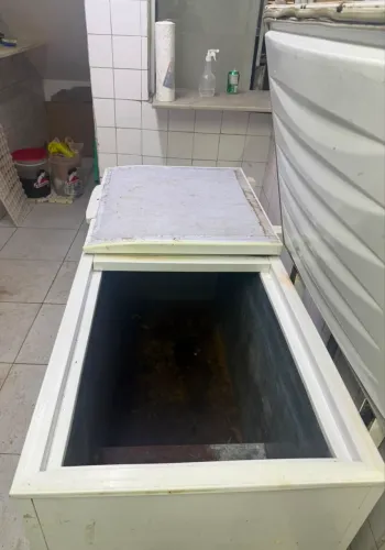 Freezer horizontal