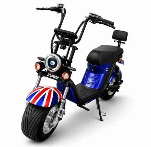 Bicicleta Elétrica Zurbe X20 de 1000W, com Bateria Removível de 20Ah e Suporte para 200kg