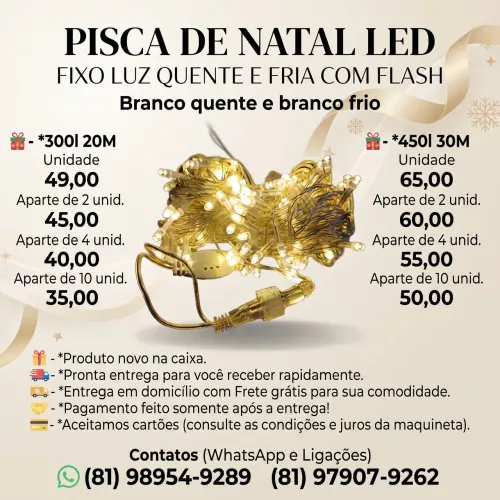 PISCA DE NATAL LED FIXO LUZ COM FLASH 300L e 450L