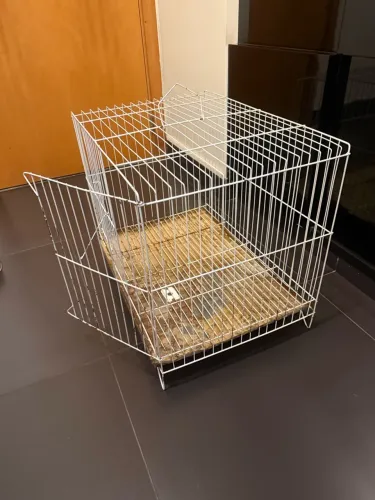 Gaiola para coelho hamster porquinho da índia