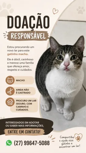 Adoção responsável 