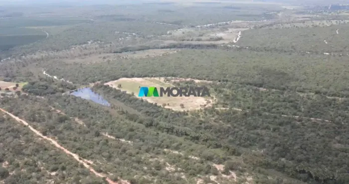 FAZENDA À VENDA - 5.900 HECTARES - BURITIZEIRO (MG)