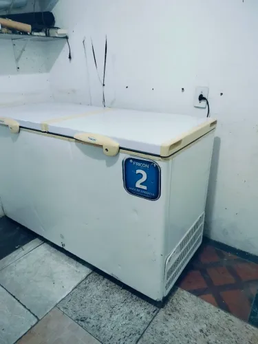 Freezer vertical 2portA litros 303 frenco