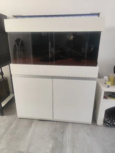 Aquario com móvel 300 litros