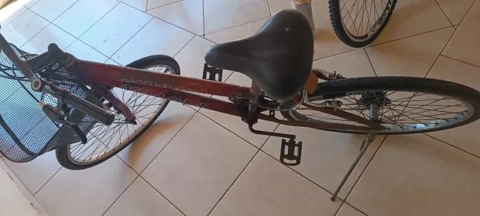Bicicleta feminina 