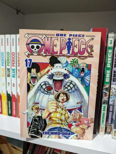 One piece vol 17