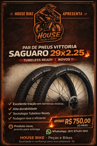 Oportunidade PAR DE PNEU VITÓRIA SAGUARO