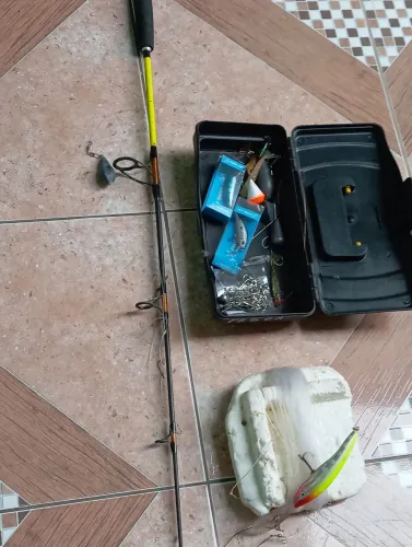 Vara de pesca (completo)