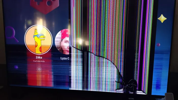 Tv Samsung 70 polegadas para retirar peças: