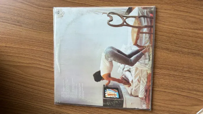VENDO DISCO DE VINIL