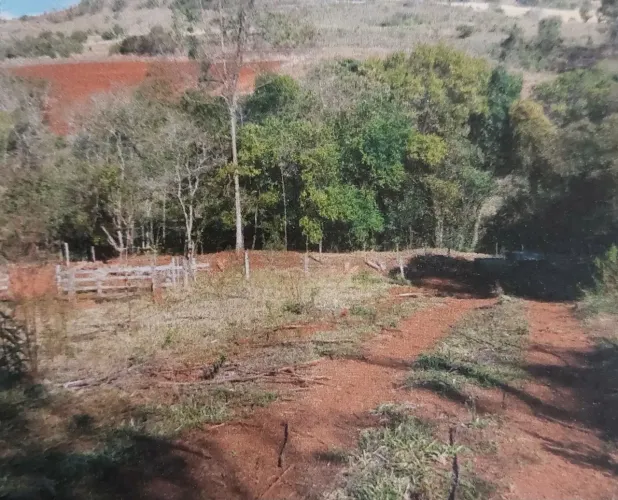 Sítio barato em Assai-pr