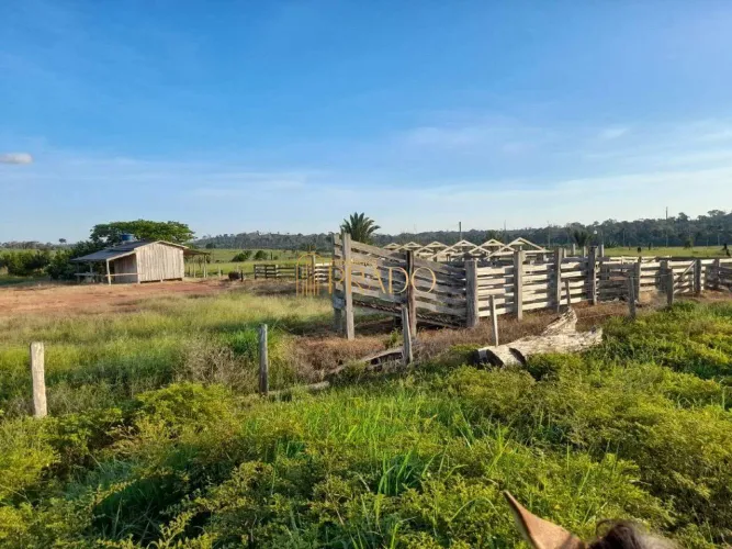 FAZENDA À VENDA EXCELENTE OPORTUNIDADE - MACHADINHO D'OESTE/RO