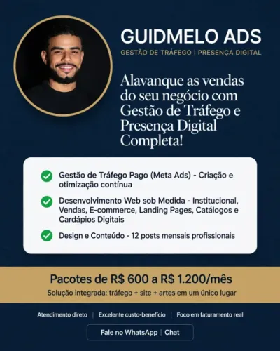 GESTÃO DE TRÁFEGO