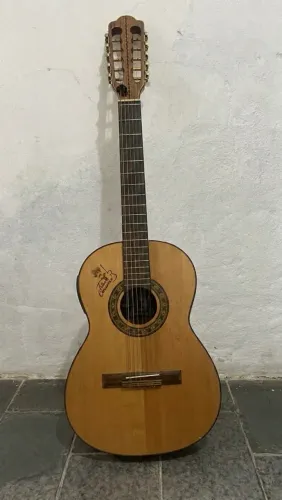 Viola Tião Carreiro