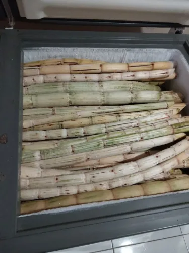 Cana para caldo