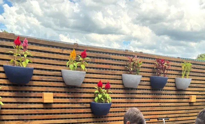 Conjunto de Vasos Parede Em Polietileno Para Jardim Vertical