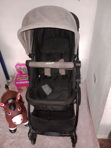 Carrinho de bebê Moisés