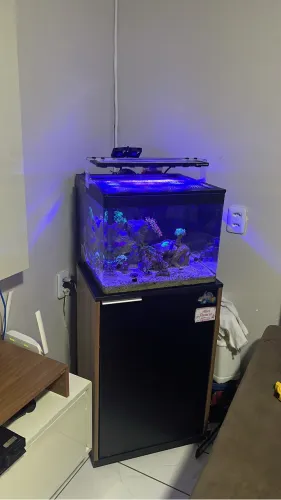 Luminária aquário marinho 72w