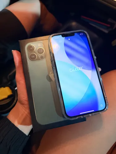 Celular 13promax