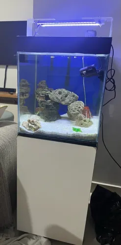 Aquario 