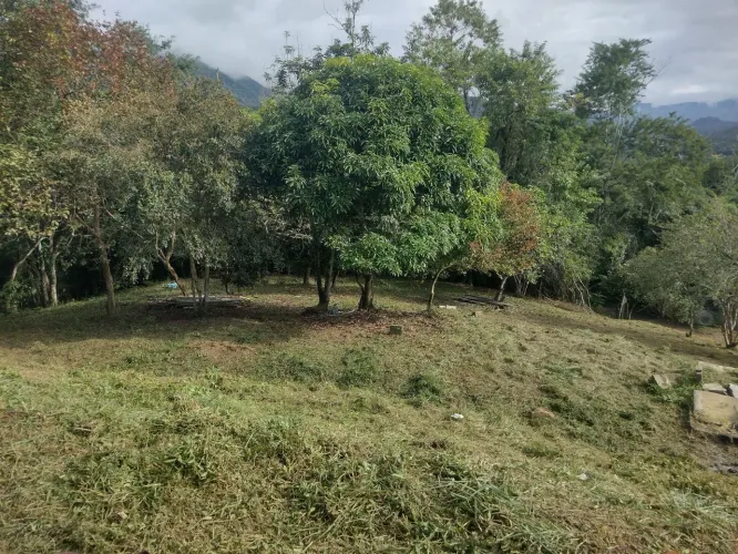Sítio 4 alqueires