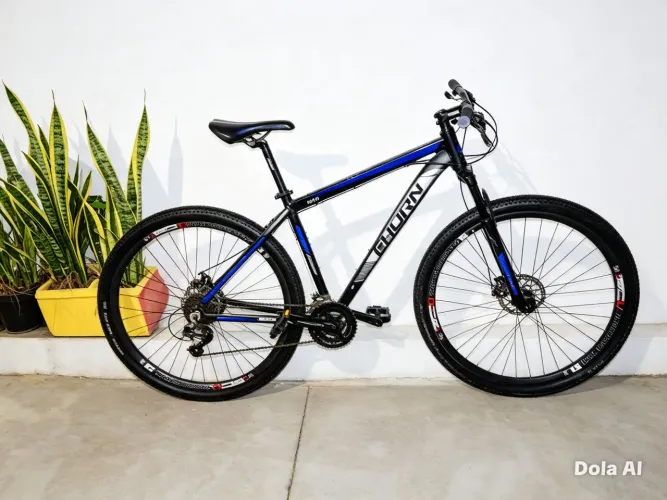 Bicicleta aro 29
