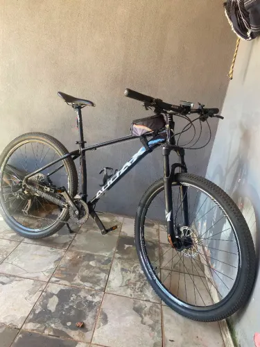 Bicicleta Audax