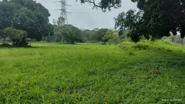 VENDE-SE PROPRIEDADE COM 9,5 HEKETARES, IDEAL PARA PLANEJAR UM CONDOMÍNIO DE LOTES