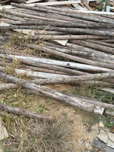 Pau de escoramento e tábua de pinus 