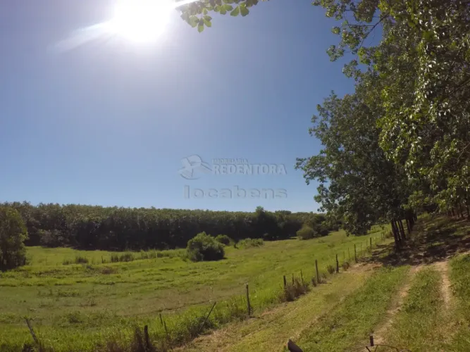 Fazenda em Seringueira no interior Paulista no município de Auriflama.
