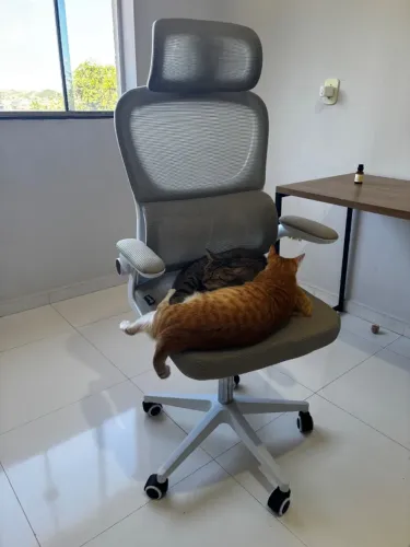 Cadeira de escritório