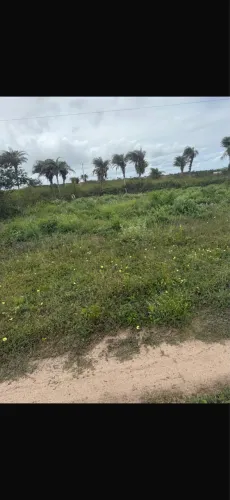 Lote na Alagoinha Santo Estêvão 