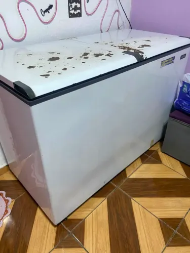 Freezer horizontal
