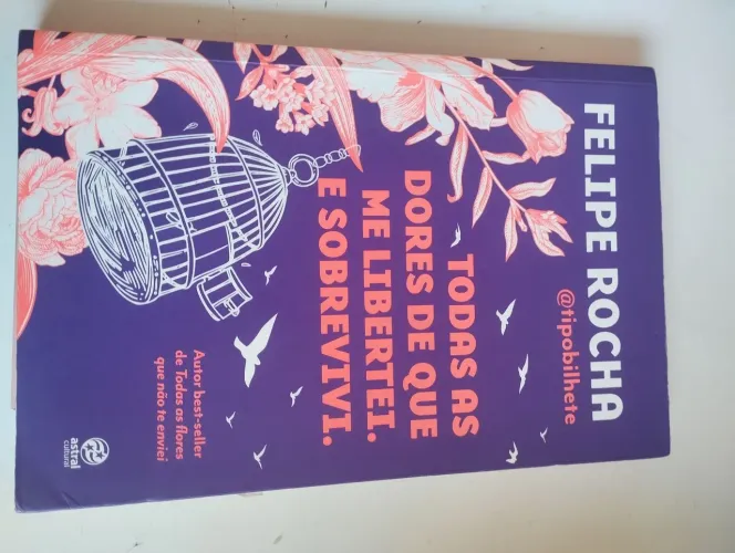 Livro Todas As Dores Que Me Liberei. E Sobrevivi.