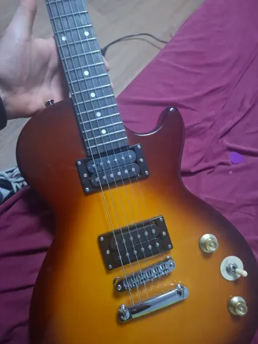Guitarra shelter lesa paul