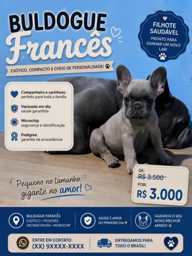 Buldogue