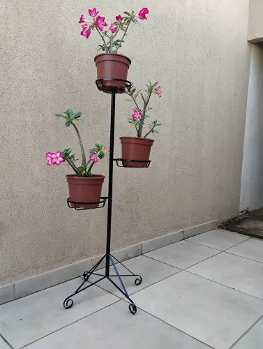 Suporte para plantas coluna 