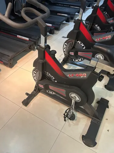 Bike spinning lion