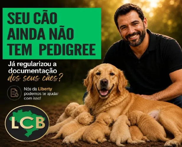 Peça já o seu Pedigree
